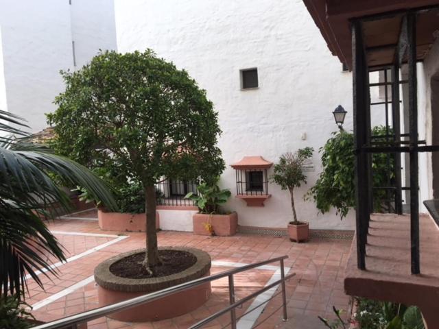 马尔韦利亚Large And Elegant In Puerto Banus With Pools And Paddle公寓 外观 照片